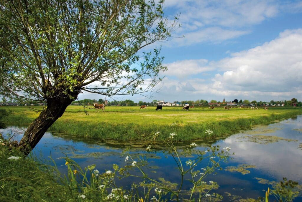 6e324634250332fce68acebe6305264a6e4832f8